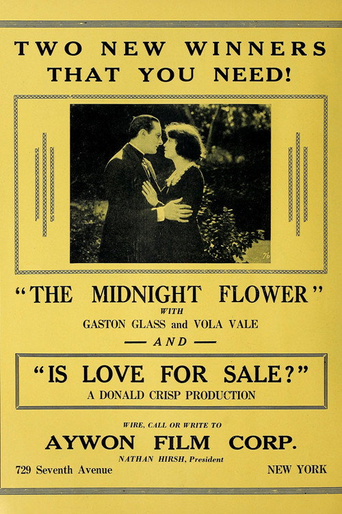 Movie poster for The Midnight Flower (1923)