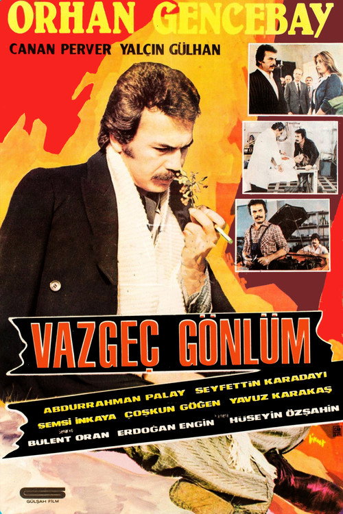 Movie poster for Vazgeç Gönlüm (1980)