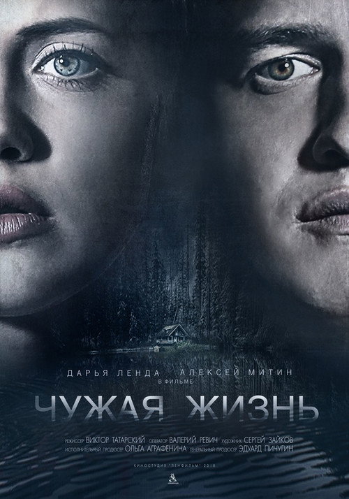Movie poster for A Stolen Life (2018)