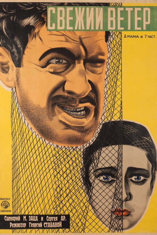 Movie poster for Fresh Wind (1927)