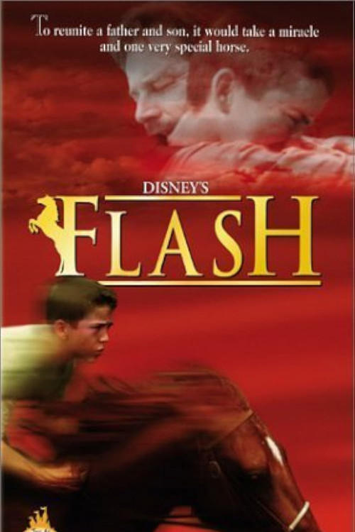 Movie poster for Flash (1997)