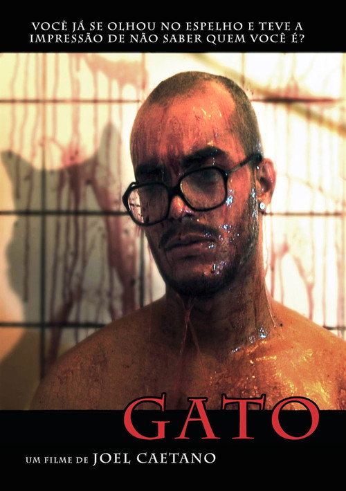 Movie poster for Gato (2009)