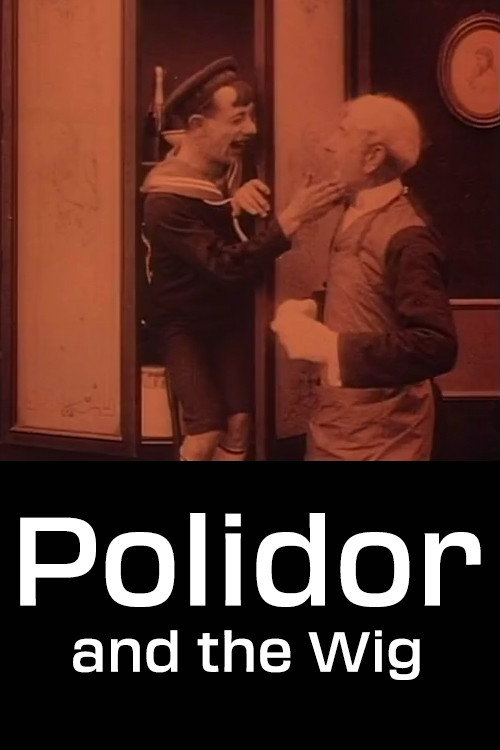 Movie poster for Polidor and the Wig (1917)