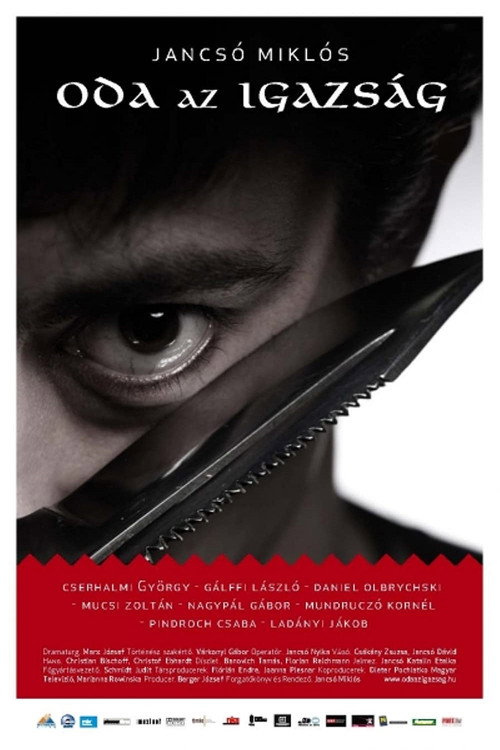 Movie poster for So Much for Justice! (2010)