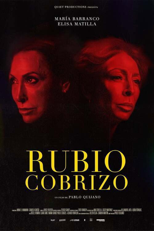 Movie poster for Rubio cobrizo (2023)