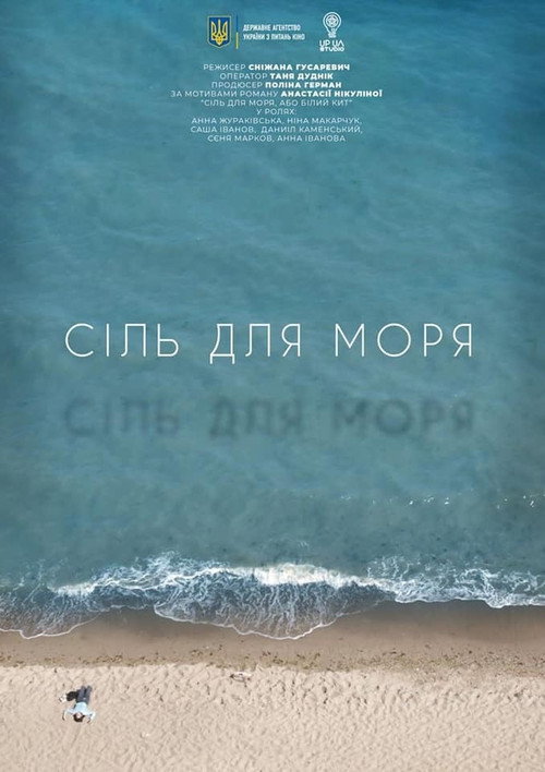 Movie poster for Salt for the Sea (2021)