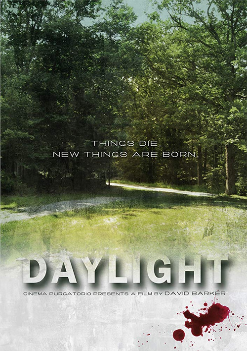 Daylight poster