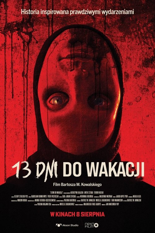Movie poster for 13 Days Till Summer (2025)