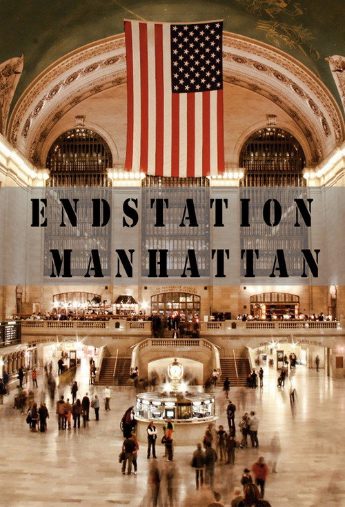 Movie poster for Manhattan Terminal (2002)