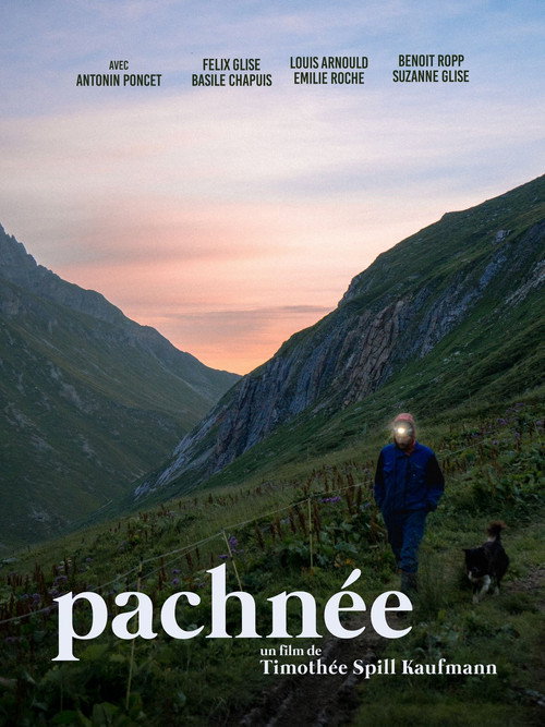 Movie poster for Pachnée