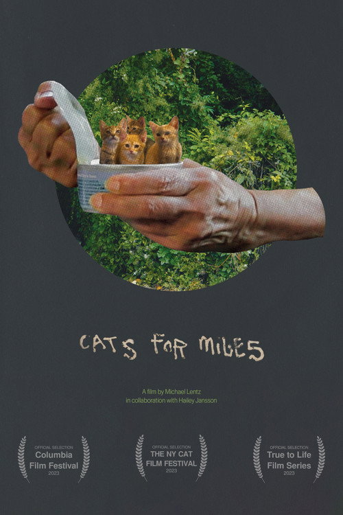 Movie poster for Cats for Miles