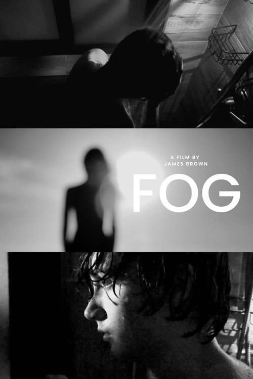Movie poster for Fog (2025)