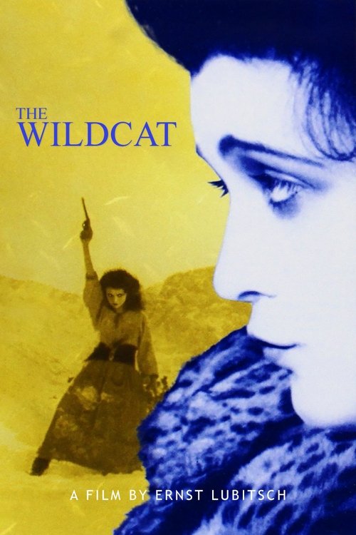 Movie poster for The Wildcat (1921)