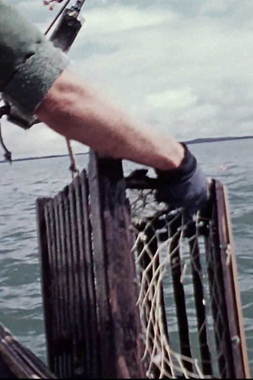 Movie poster for Lobsterman (1973)