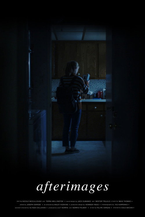 Movie poster for Afterimages (2020)