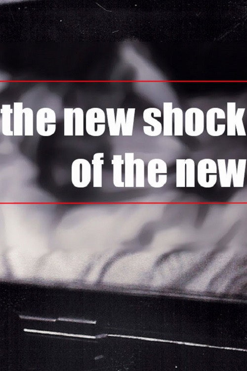 Movie poster for The NEW Shock of the New (2004)