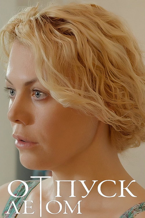 Movie poster for Summer Leave (2015)