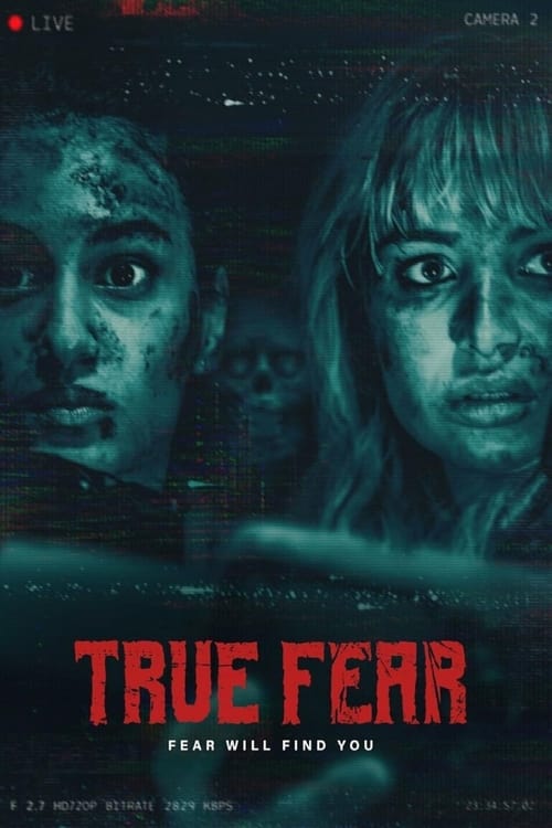 Movie poster for True Fear (2024)