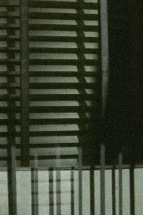 Movie poster for Trajections (2014)