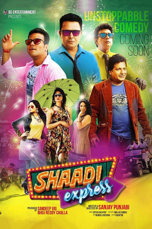 Movie poster for Shaadi Express (2017)