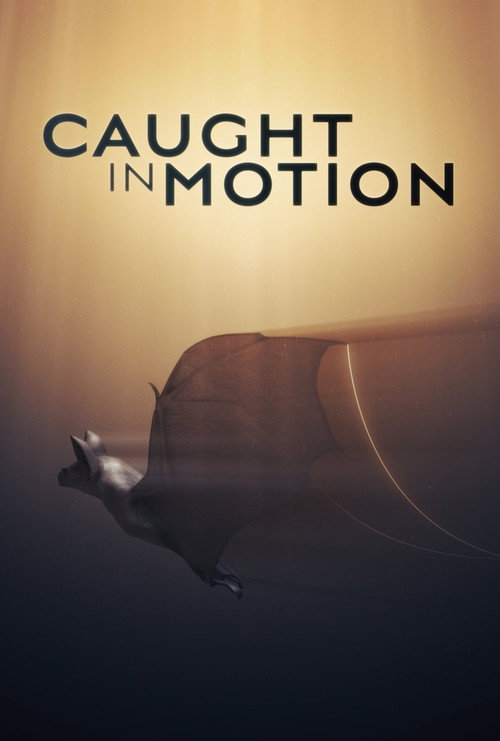 Series poster for Caught in Motion (2025)