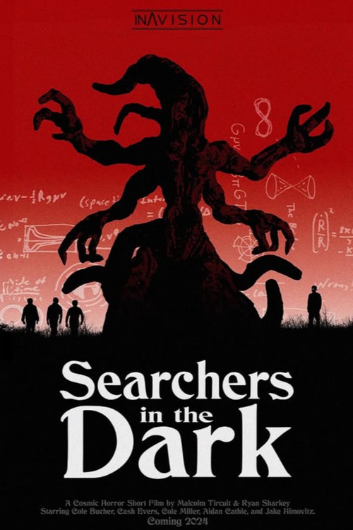 Movie poster for Searchers in the Dark (2024)