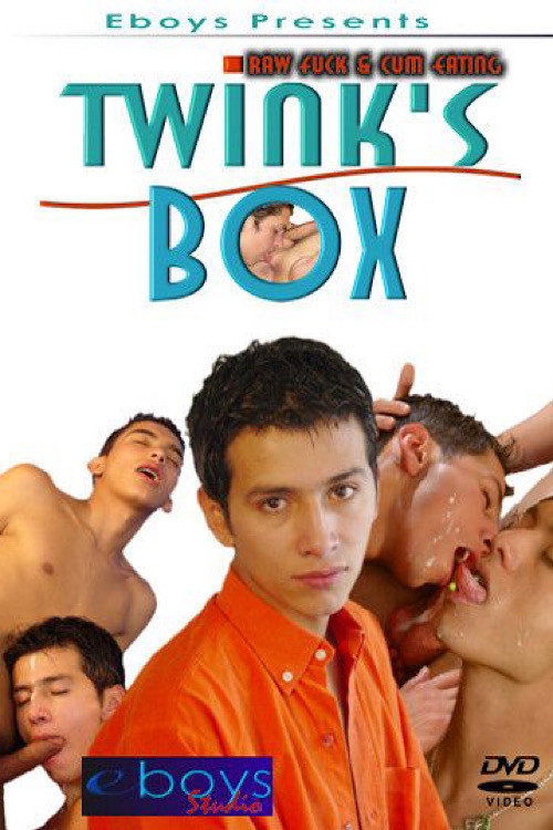 Movie poster for Twink's Box (2005)