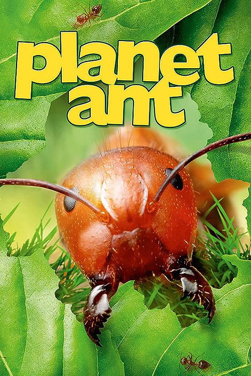 Movie poster for Planet Ant: Life Inside The Colony (2013)