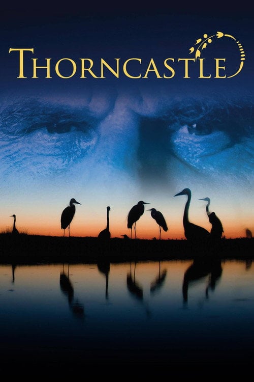 Movie poster for Thorn Castle (2012)