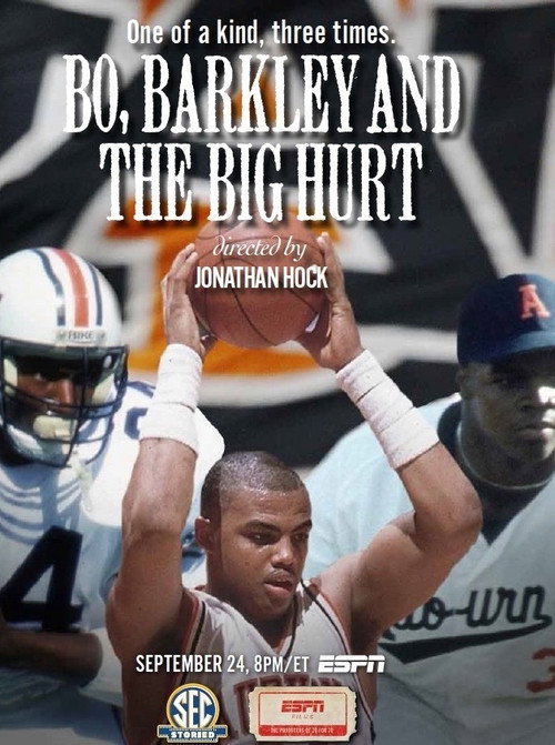Movie poster for Bo, Barkley and the Big Hurt (2014)