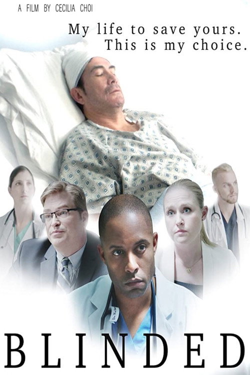 Movie poster for Blinded