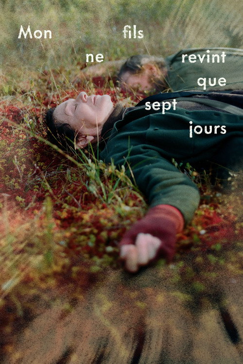 Movie poster for My Son Came Back to Disappear (2025)