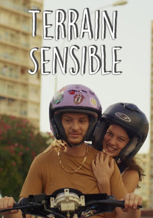 Movie poster for Terrain Sensible (2023)