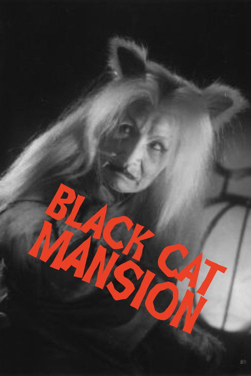 Movie poster for Black Cat Mansion (1958)