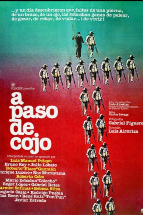 Movie poster for At a Lame Pace (1980)