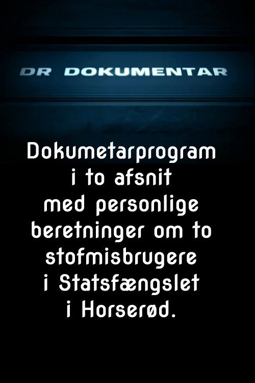 Series poster for Pigerne i Horserød (2004)