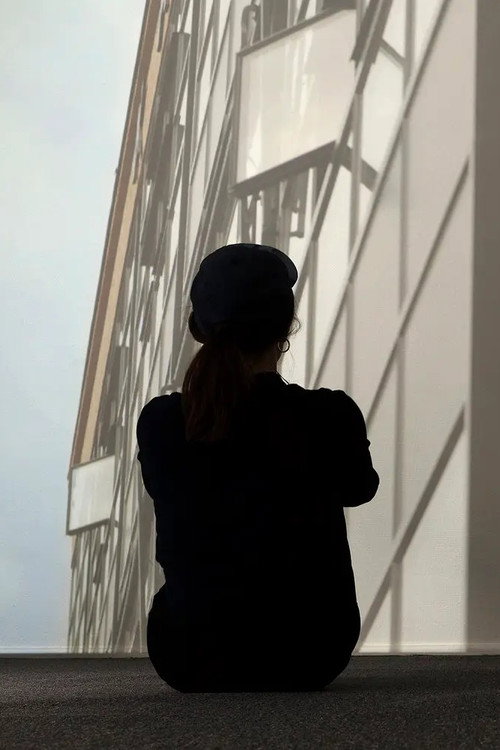 Movie poster for Gropius Memory Palace (2017)