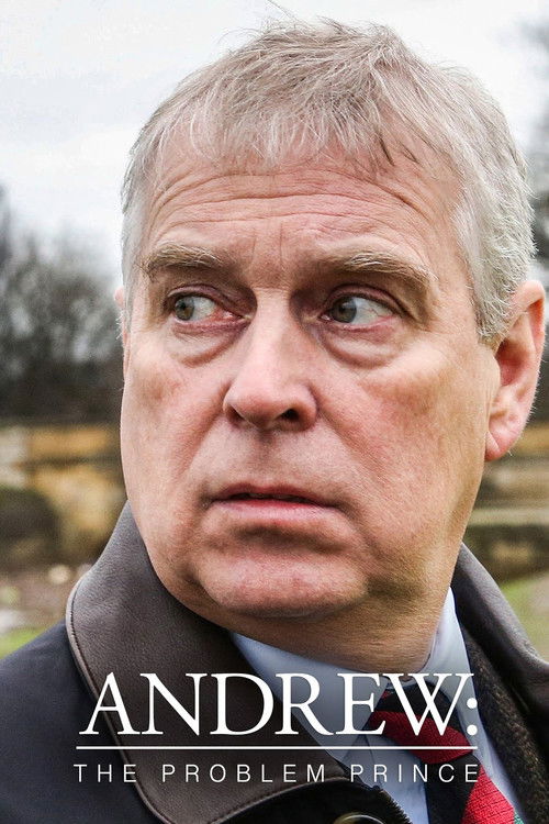 Series poster for Andrew: The Problem Prince (2023)