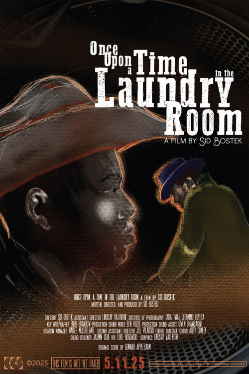 Movie poster for Once Upon a Time in the Laundry Room