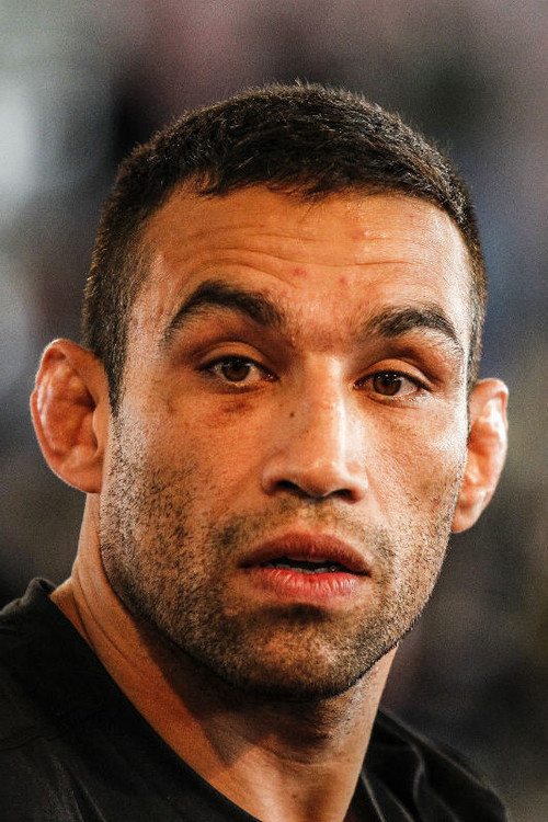 Fabrício Werdum profile