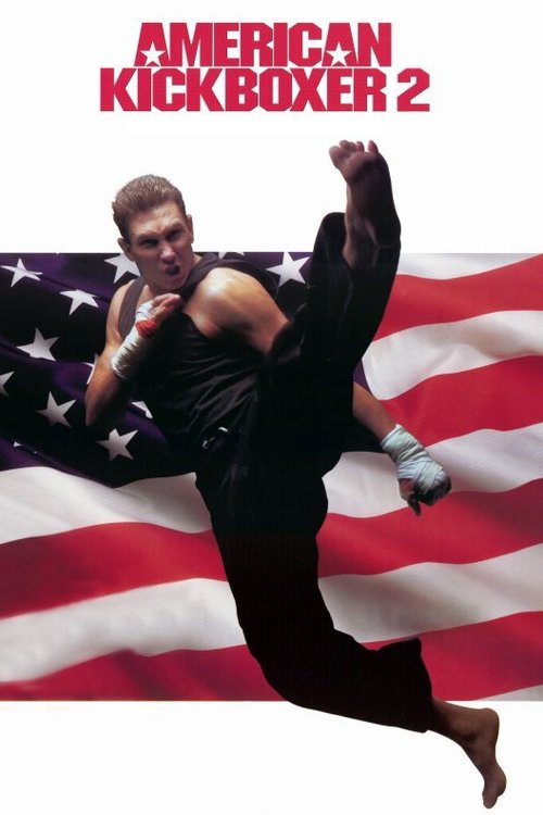 Movie poster for American Kickboxer 2 (1993)