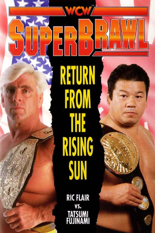 Movie poster for WCW SuperBrawl 1 (1991)