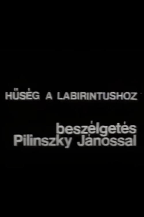 Movie poster for Hűség a labirintushoz – Beszélgetés Pilinszky Jánossal (1978)