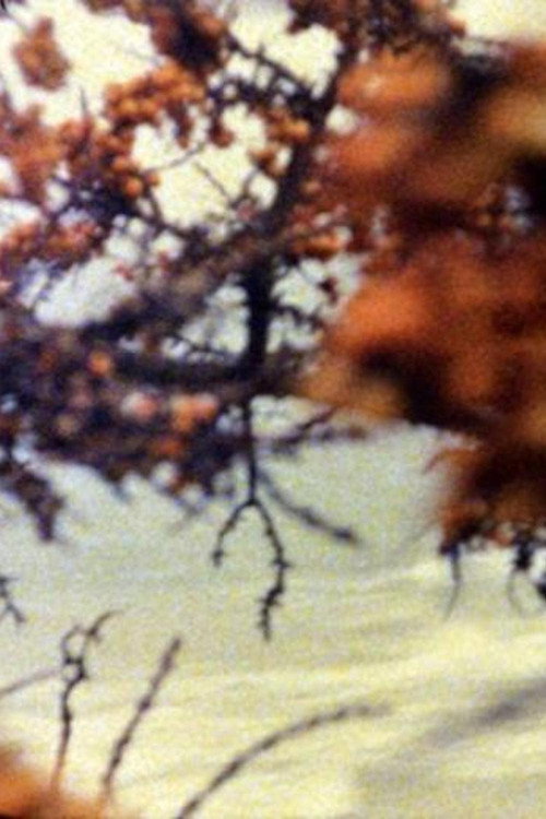 Movie poster for At the Sea (1995)