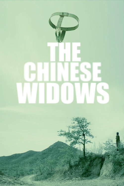 Movie poster for 中国式寡妇 (2018)