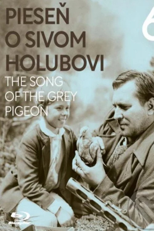Movie poster for The Song of the Grey Pigeon (1961)
