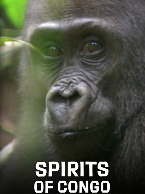 Movie poster for Spirits of Congo (2020)