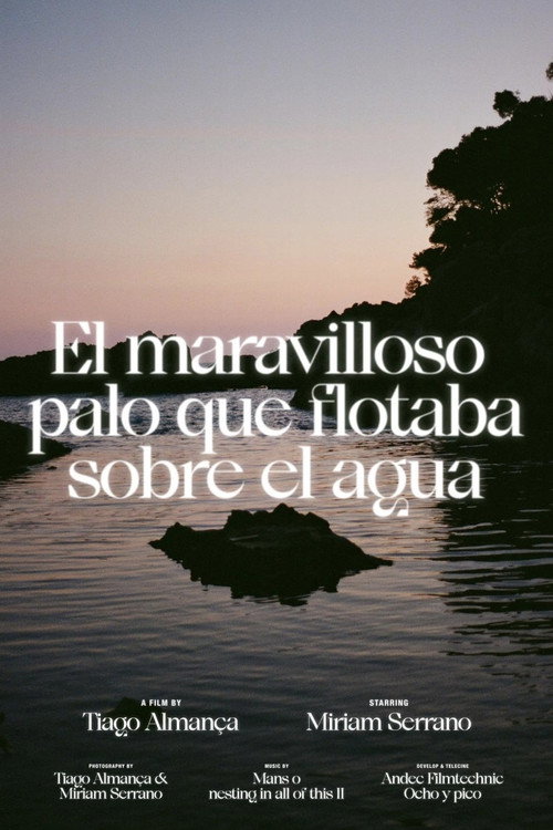 Movie poster for El maravilloso palo que flotaba sobre el agua