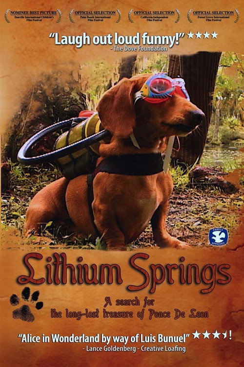 Movie poster for Lithium Springs (2004)
