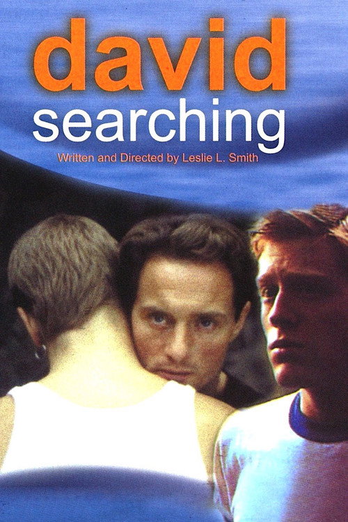 Movie poster for David Searching (1997)